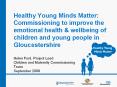 Healthy Young Minds Matter: Commissioning to improve the emotional health PowerPoint PPT Presentation