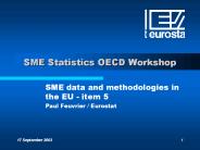 SME%20Statistics%20OECD%20Workshop