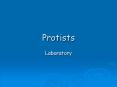 Protists PowerPoint PPT Presentation