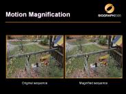 Motion Magnification
