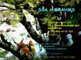 SSA%20in%20BRAHMS PowerPoint PPT Presentation
