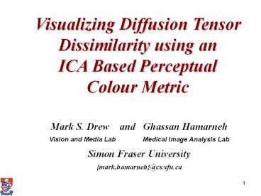 Visualizing%20Diffusion%20Tensor%20Dissimilarity%20using%20an