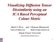 Visualizing%20Diffusion%20Tensor%20Dissimilarity%20using%20an