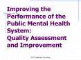 Improving the Performance of the Public Mental Health System: Quality Assessment and Improvement PowerPoint PPT Presentation