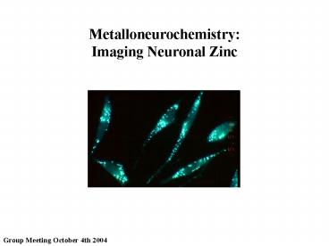 Metalloneurochemistry: Imaging Neuronal Zinc
