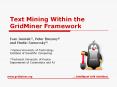 Text Mining Within the GridMiner Framework PowerPoint PPT Presentation