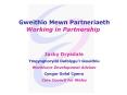 Gweithio Mewn Partneriaeth Working in Partnership PowerPoint PPT Presentation