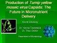 Production of Turnip yellow mosaic virus Capsids: The Future in Micronutrient Delivery PowerPoint PPT Presentation