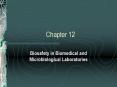 Biosafety in Biomedical and Microbiological Laboratories PowerPoint PPT Presentation