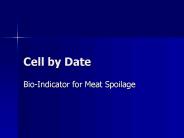 Cell by Date