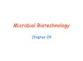 Microbial Biotechnology PowerPoint PPT Presentation