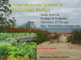 Indiana Dunes National Lakeshore PowerPoint PPT Presentation