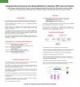 Integrated Electrochemical and Optical Methods for Studying TRPV Channel Proteins PowerPoint PPT Presentation