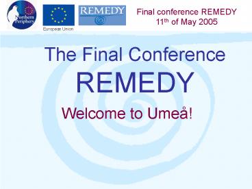 The Final Conference REMEDY