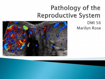 Pathology of the Reproductive System