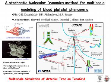 Visualization of Platelets in Small Blood Vessels