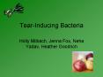 TearInducing Bacteria PowerPoint PPT Presentation