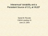 Interannual Variability and a Persistent Source of CO2 at WLEF