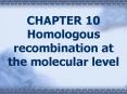 CHAPTER 10 Homologous recombination at the molecular level PowerPoint PPT Presentation