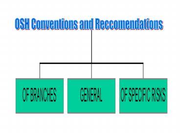 OSH Conventions and Reccomendations