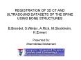 REGISTRATION OF 3D CT AND ULTRASOUND DATASETS OF THE SPINE USING BONE STRUCTURES B'Brendel, S'Winter PowerPoint PPT Presentation