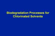 Biodegradation Processes for Chlorinated Solvents