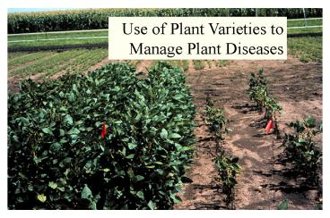 Master Gardener General Plant Pathology Talk