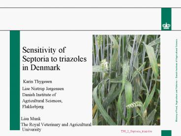 Sensitivity of Septoria to triazoles in Denmark