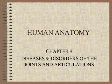 HUMAN ANATOMY