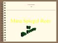 Mina Spiegel Rees PowerPoint PPT Presentation