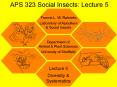APS 323 Social Insects: Lecture 5 PowerPoint PPT Presentation