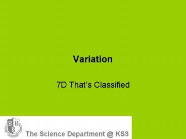 presentation player overlay