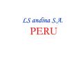 LS andina S.A.     PERU PowerPoint PPT Presentation