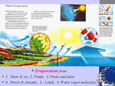 presentation player overlay