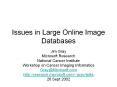 Issues in Large Online Image Databases PowerPoint PPT Presentation