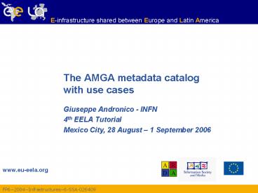 The AMGA metadata catalog with use cases