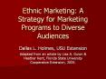 Ethnic Marketing: A Strategy for Marketing Programs to Diverse Audiences PowerPoint PPT Presentation