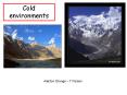Cold environments PowerPoint PPT Presentation
