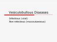 Vesiculobullous Diseases PowerPoint PPT Presentation