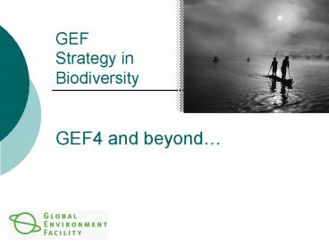 GEF Strategy in Biodiversity GEF4 and beyond