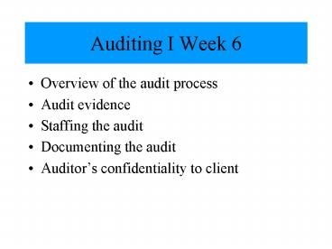 Overview of the audit process