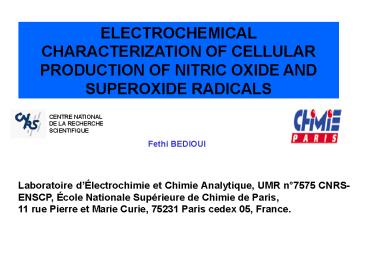 Prsentation PowerPoint