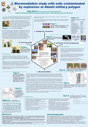 Bioremediation study with soils contaminated by explosives at Adazhi military polygon