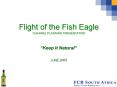 Flight of the Fish Eagle PowerPoint PPT Presentation