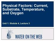 Physical Factors: Current, Substrate, Temperature, and Oxygen