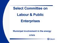 Municipal involvement in the energy crisis