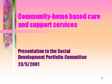 Community-home based care and support services