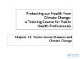 Protecting our Health from Climate Change: a Training Course for Public Health Professionals PowerPoint PPT Presentation