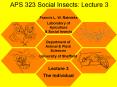 APS 323 Social Insects: Lecture 3 PowerPoint PPT Presentation