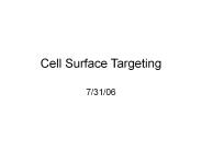 Cell Surface Targeting